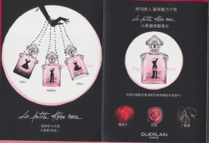 Carte ouverte - Volets de gauche