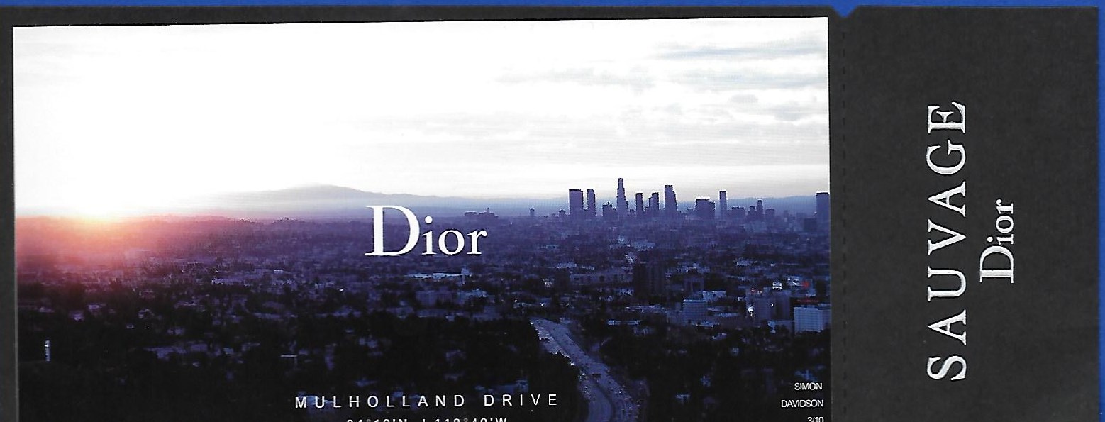dior-5